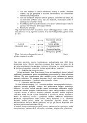 Laisvosios ekonominės zonos ir jų vaidmuo 3 puslapis