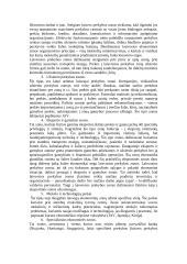 Laisvosios ekonominės zonos ir jų vaidmuo 4 puslapis