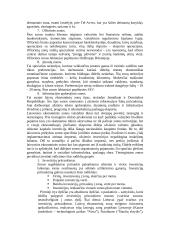 Laisvosios ekonominės zonos ir jų vaidmuo 5 puslapis