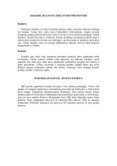 Lietuvos baidarių ir kanojų istorija 2 puslapis