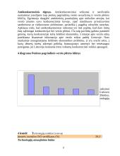 Lietuvos investicijų klimato įvertinimas 18 puslapis