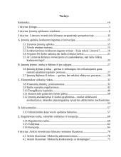 Lietuvos investicijų klimato įvertinimas 4 puslapis