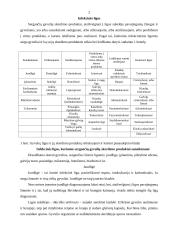 Mėsos infekcinės ligos ir jos užterštumas 2 puslapis