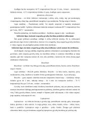 Mėsos infekcinės ligos ir jos užterštumas 3 puslapis