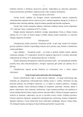 Mėsos infekcinės ligos ir jos užterštumas 7 puslapis