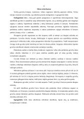 Mėsos infekcinės ligos ir jos užterštumas 8 puslapis