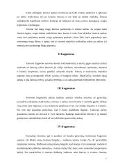 Mykolas Lietuvis ir jo traktatas "Apie totorių, lietuvių ir maskvėnų papročius" 7 puslapis