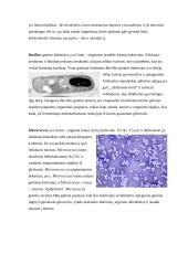 Mikrobiologinė aktyviojo dumblo ir bioplėvelės charakteristika 12 puslapis