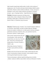 Mikrobiologinė aktyviojo dumblo ir bioplėvelės charakteristika 15 puslapis