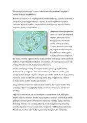 Mikrobiologinė aktyviojo dumblo ir bioplėvelės charakteristika 16 puslapis