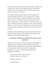 Mikrobiologinė aktyviojo dumblo ir bioplėvelės charakteristika 18 puslapis