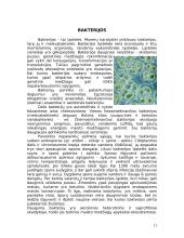 Mikroorganizmai 11 puslapis