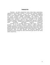 Mikroorganizmai 13 puslapis