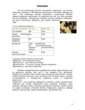 Mikroorganizmai 4 puslapis