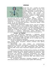 Mikroorganizmai 10 puslapis