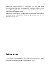 Modelis: plėšrūnas-auka 13 puslapis