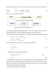 Modelis: plėšrūnas-auka 7 puslapis