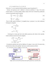Modelis: plėšrūnas-auka 8 puslapis