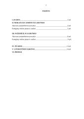 Neblaivaus asmens ir pažeidėjų sulaikymas 2 puslapis