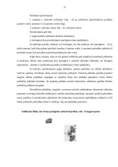 Neblaivaus asmens ir pažeidėjų sulaikymas 11 puslapis