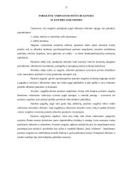 Neblaivaus asmens ir pažeidėjų sulaikymas 12 puslapis