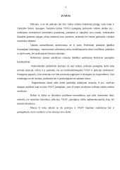 Neblaivaus asmens ir pažeidėjų sulaikymas 3 puslapis