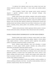 Neblaivaus asmens ir pažeidėjų sulaikymas 10 puslapis