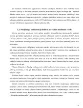 Nesąžiningoji konkurencija, jos draudimas, sankcijos 18 puslapis