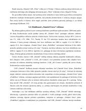 Nesąžiningoji konkurencija, jos draudimas, sankcijos 19 puslapis