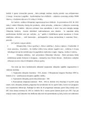 Olimpinės žaidynės 9 puslapis