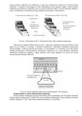 Optiniai diskai su tiesiogine prieiga 10 puslapis