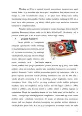 Personalinio kompiuterio architektūra 11 puslapis