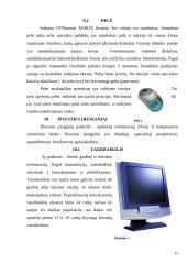 Personalinio kompiuterio architektūra 14 puslapis