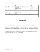 Personalinio kompiuterio procesoriai 8 puslapis