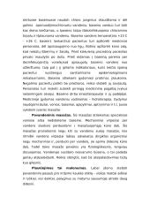 Plaukimas – sporto šaka ir ne tik 5 puslapis