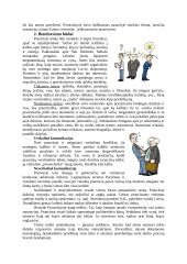 Etiketas Prancūzijoje 4 puslapis