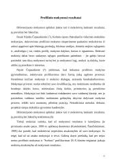 Profilinis mokymas 14 puslapis