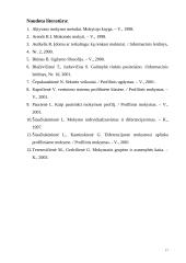 Profilinis mokymas 17 puslapis