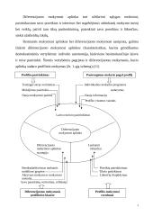 Profilinis mokymas 3 puslapis