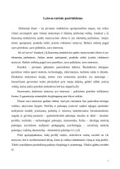 Profilinis mokymas 5 puslapis