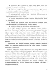 Profilinis mokymas 6 puslapis