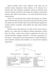 Profilinis mokymas 7 puslapis