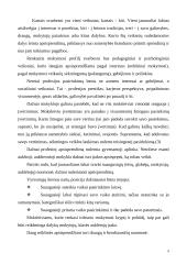 Profilinis mokymas 8 puslapis