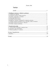 Profiliuotas mokymas: reikšmė ir problemos 2 puslapis