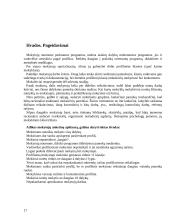 Profiliuotas mokymas: reikšmė ir problemos 17 puslapis