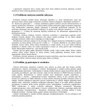 Profiliuotas mokymas: reikšmė ir problemos 5 puslapis