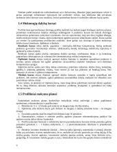 Profiliuotas mokymas: reikšmė ir problemos 6 puslapis