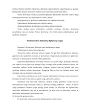 Protokolas ir etiketas valstybės valdyme 11 puslapis