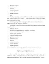 Protokolas ir etiketas valstybės valdyme 12 puslapis