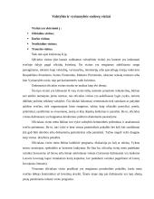 Protokolas ir etiketas valstybės valdyme 4 puslapis